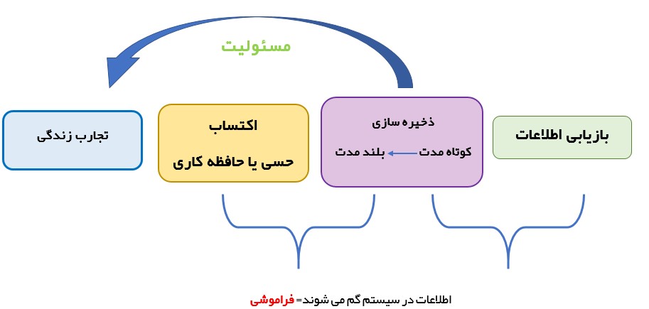 فرایند کارکرد حافظه توسط اینفوگرافی